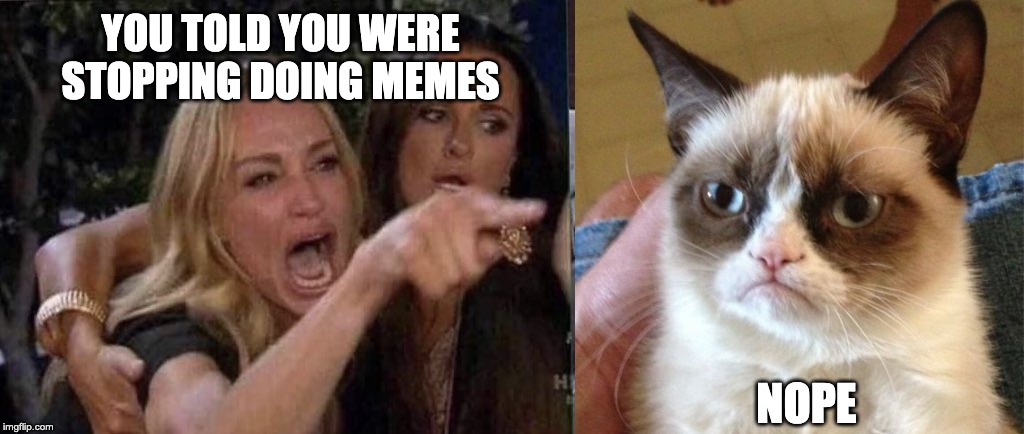 at cat YOU TOLD YOU WERE STOPPING DOING MEMES; NOPE image tagged in woman y...