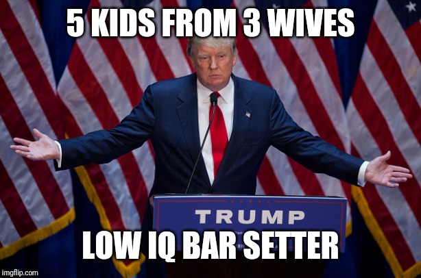 Donald Trump | 5 KIDS FROM 3 WIVES LOW IQ BAR SETTER | image tagged in donald trump | made w/ Imgflip meme maker