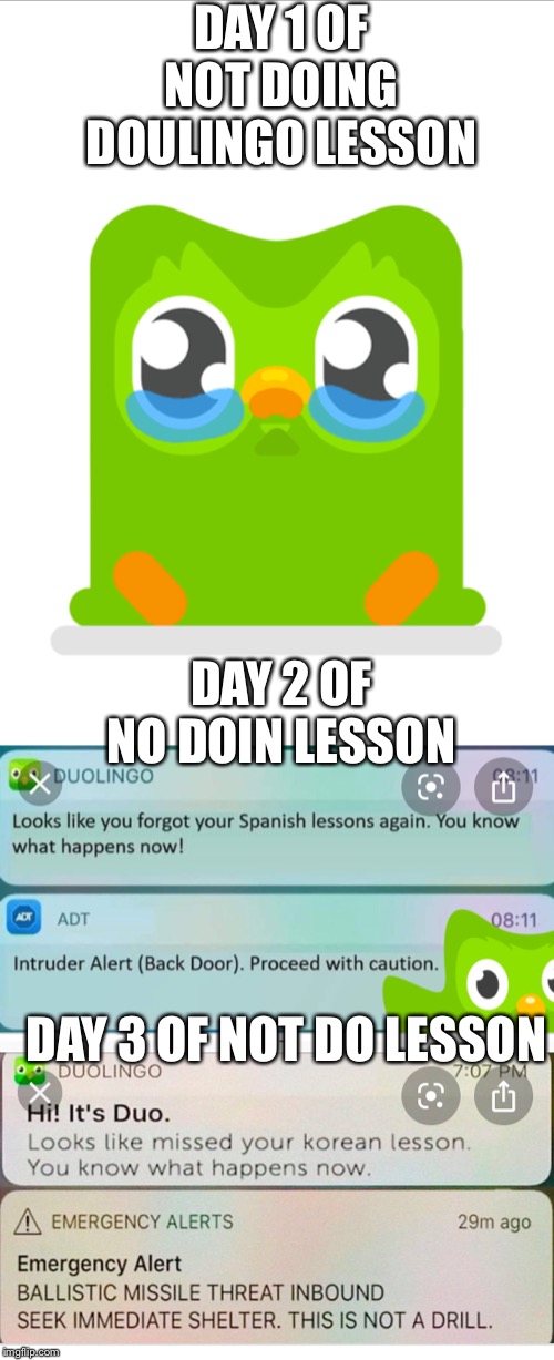Doulingo | DAY 1 OF NOT DOING DOULINGO LESSON; DAY 2 OF NO DOIN LESSON; DAY 3 OF NOT DO LESSON | image tagged in doulingo | made w/ Imgflip meme maker