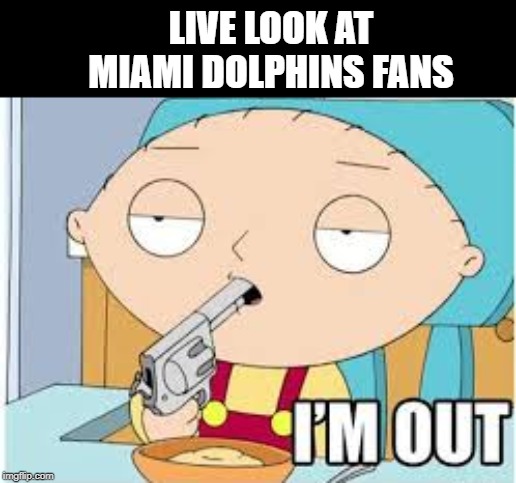 They're Tanking All Right | LIVE LOOK AT MIAMI DOLPHINS FANS | image tagged in nfl football,miami dolphins | made w/ Imgflip meme maker