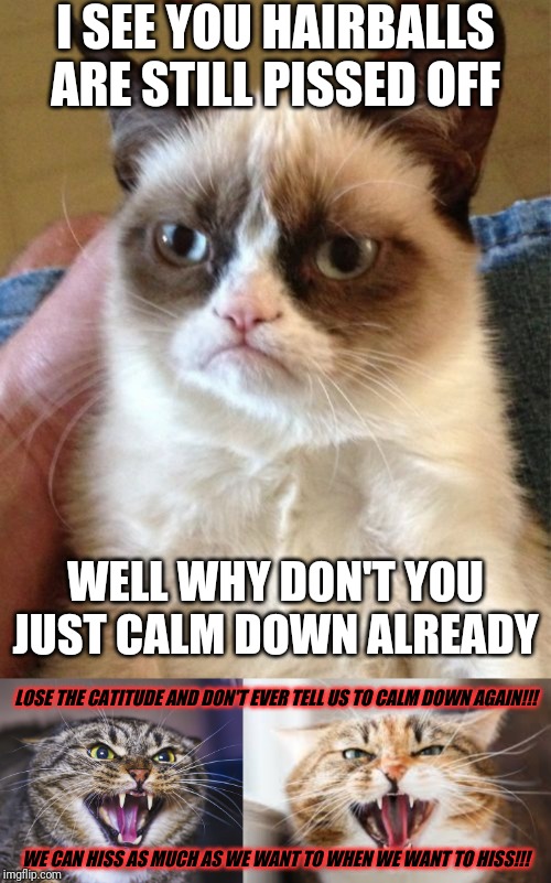 Wow Grumpy cat jus got roasted by two hissing cats | I SEE YOU HAIRBALLS ARE STILL PISSED OFF; WELL WHY DON'T YOU JUST CALM DOWN ALREADY; LOSE THE CATITUDE AND DON'T EVER TELL US TO CALM DOWN AGAIN!!! WE CAN HISS AS MUCH AS WE WANT TO WHEN WE WANT TO HISS!!! | image tagged in memes,grumpy cat,the hissing cat,angry cat,cat memes,cats | made w/ Imgflip meme maker