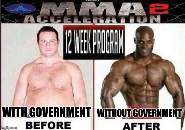 MMA2 Acceleration 12-Week Program before & after seems legit | WITH GOVERNMENT WITHOUT GOVERNMENT | image tagged in mma2 acceleration 12-week program before  after seems legit | made w/ Imgflip meme maker