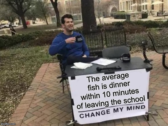 Change My Mind Meme | The average fish is dinner within 10 minutes of leaving the school | image tagged in memes,change my mind | made w/ Imgflip meme maker