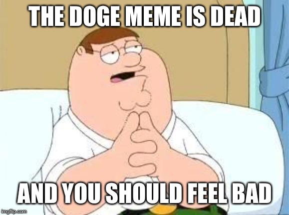 peter griffin go on | THE DOGE MEME IS DEAD AND YOU SHOULD FEEL BAD | image tagged in peter griffin go on | made w/ Imgflip meme maker