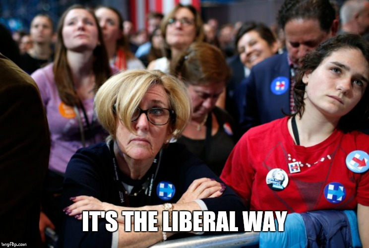 Crazy liberals | IT'S THE LIBERAL WAY | image tagged in crazy liberals | made w/ Imgflip meme maker