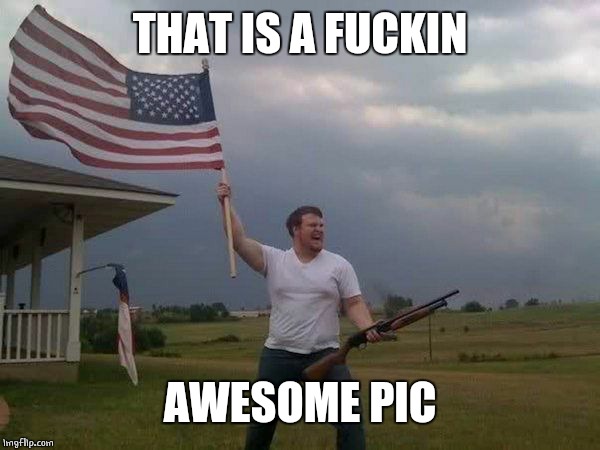 American flag shotgun guy | THAT IS A F**KIN AWESOME PIC | image tagged in american flag shotgun guy | made w/ Imgflip meme maker