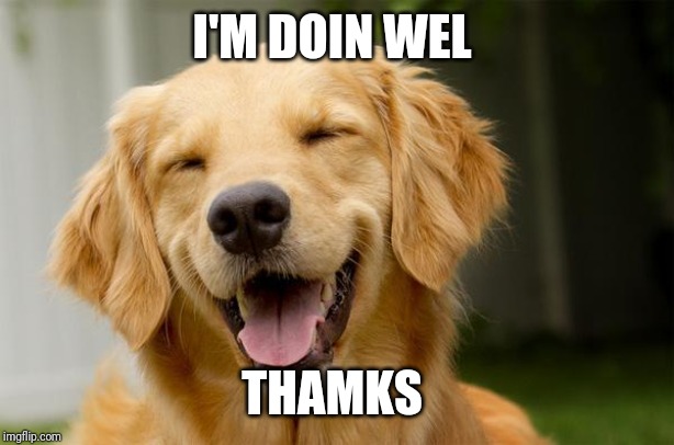 Happy Dog | I'M DOIN WEL THAMKS | image tagged in happy dog | made w/ Imgflip meme maker