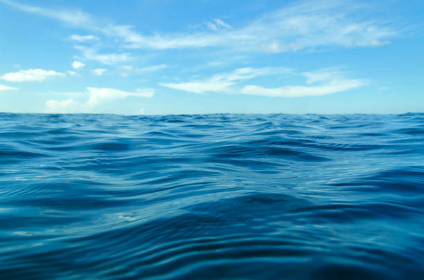 intense submarine battle Blank Meme Template