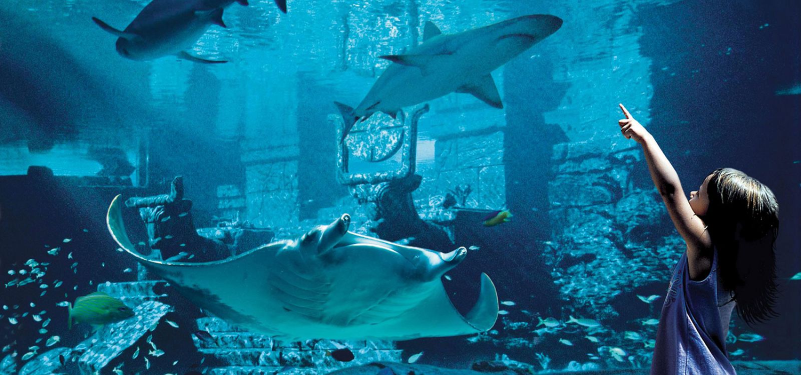 underwater city Blank Meme Template
