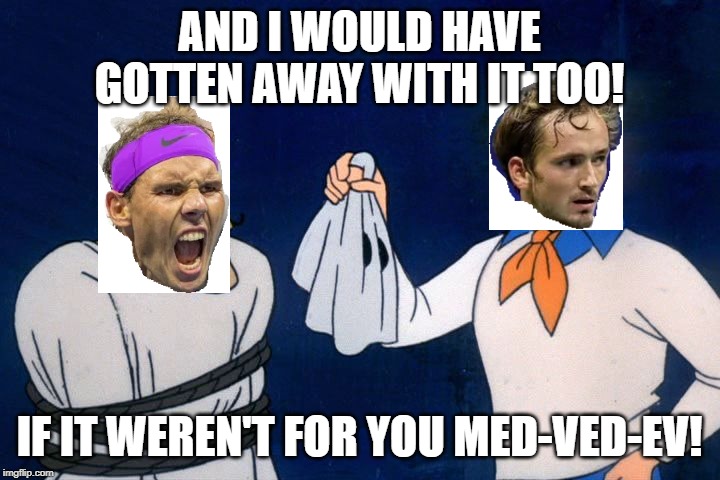 scooby doo meddling kids | AND I WOULD HAVE GOTTEN AWAY WITH IT TOO! IF IT WEREN'T FOR YOU MED-VED-EV! | image tagged in scooby doo meddling kids | made w/ Imgflip meme maker