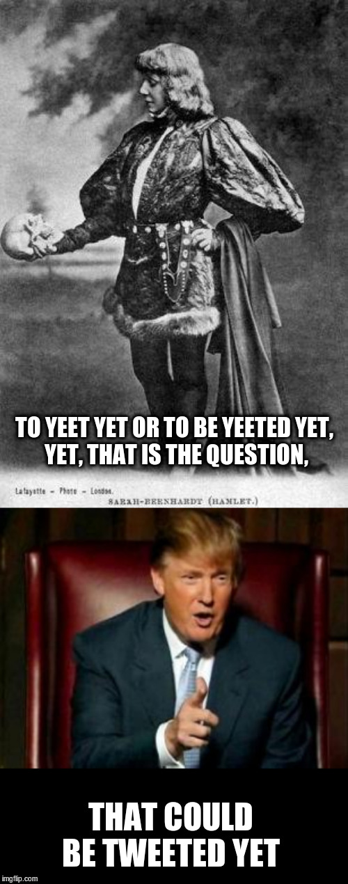 TO YEET YET OR TO BE YEETED YET, 
YET, THAT IS THE QUESTION, THAT COULD BE TWEETED YET | image tagged in donald trump,hamlet | made w/ Imgflip meme maker