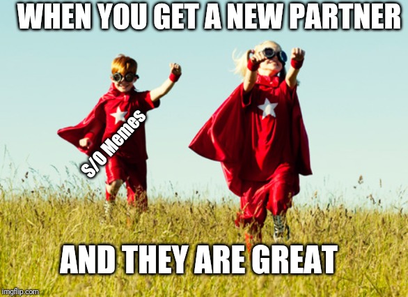 Responsibility Partners | WHEN YOU GET A NEW PARTNER; S/O Memes; AND THEY ARE GREAT | image tagged in responsibility partners | made w/ Imgflip meme maker