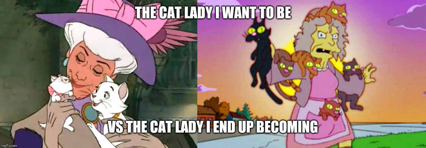 THE CAT LADY I WANT TO BE; VS THE CAT LADY I END UP BECOMING | made w/ Imgflip meme maker