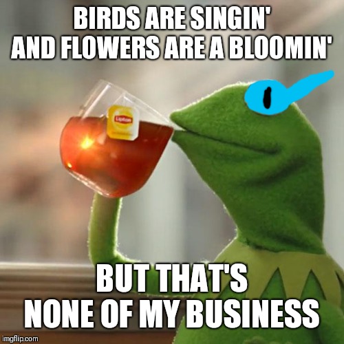 And kids like them should remember the Muppet Show from the 80's. | BIRDS ARE SINGIN' AND FLOWERS ARE A BLOOMIN'; BUT THAT'S NONE OF MY BUSINESS | image tagged in memes,but thats none of my business,kermit the frog,sans undertale | made w/ Imgflip meme maker