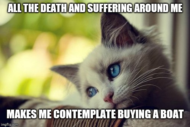 First World Problems Cat Meme | ALL THE DEATH AND SUFFERING AROUND ME; MAKES ME CONTEMPLATE BUYING A BOAT | image tagged in memes,first world problems cat | made w/ Imgflip meme maker
