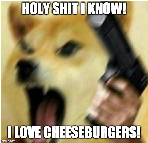 HOLY SHIT I KNOW! I LOVE CHEESEBURGERS! | image tagged in funny meme | made w/ Imgflip meme maker