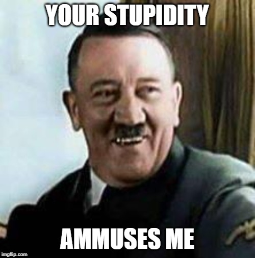 YOUR STUPIDITY AMMUSES ME | image tagged in laughing hitler | made w/ Imgflip meme maker