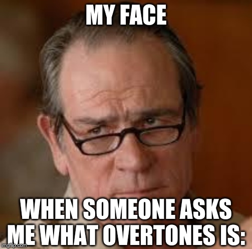 my face when someone asks a stupid question | MY FACE; WHEN SOMEONE ASKS ME WHAT OVERTONES IS: | image tagged in my face when someone asks a stupid question | made w/ Imgflip meme maker