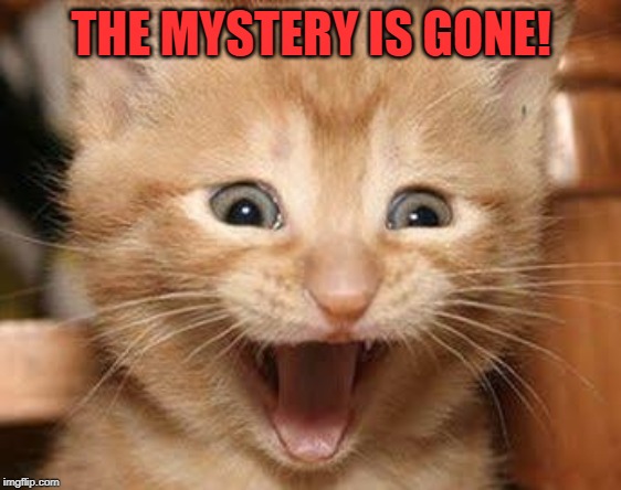 Excited Cat Meme | THE MYSTERY IS GONE! | image tagged in memes,excited cat | made w/ Imgflip meme maker