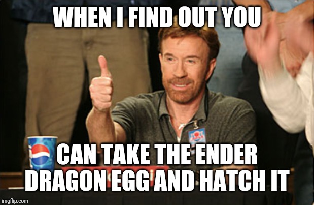 Chuck Norris Approves | WHEN I FIND OUT YOU; CAN TAKE THE ENDER DRAGON EGG AND HATCH IT | image tagged in memes,chuck norris approves,chuck norris | made w/ Imgflip meme maker