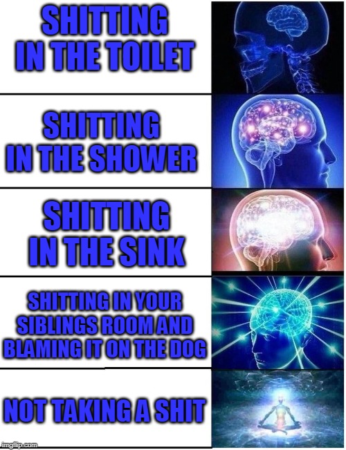 Expanding Brain 5 Panel | SHITTING IN THE TOILET; SHITTING IN THE SHOWER; SHITTING IN THE SINK; SHITTING IN YOUR SIBLINGS ROOM AND BLAMING IT ON THE DOG; NOT TAKING A SHIT | image tagged in expanding brain 5 panel | made w/ Imgflip meme maker