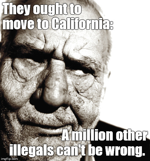 Informed that illegal immigrants are suing the State of Georgia in federal court for driver's licenses, skeptical old man says: | They ought to move to California:; A million other illegals can't be wrong. | image tagged in skeptical old man,illegal immigration,border wall,so i guess you can say things are getting pretty serious,douglie | made w/ Imgflip meme maker