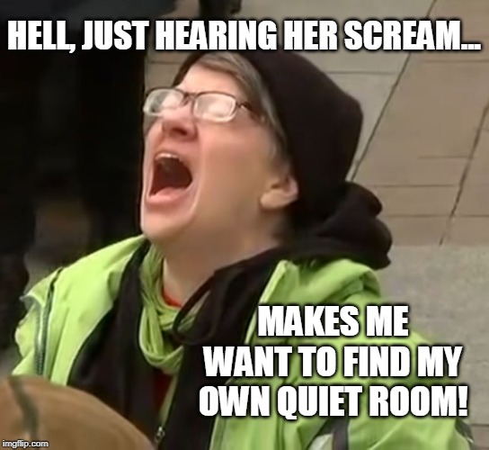 Whiny Little SnowFlake | HELL, JUST HEARING HER SCREAM... MAKES ME WANT TO FIND MY OWN QUIET ROOM! | image tagged in snowflake,antifa,whining,retarded liberal protesters,go away,libtard | made w/ Imgflip meme maker