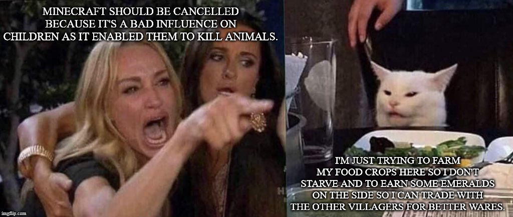 When someone says that Minecraft should be shut down due to being a bad ...