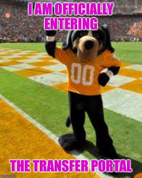 Tennessee mascot | I AM OFFICIALLY ENTERING; THE TRANSFER PORTAL | image tagged in tennessee | made w/ Imgflip meme maker
