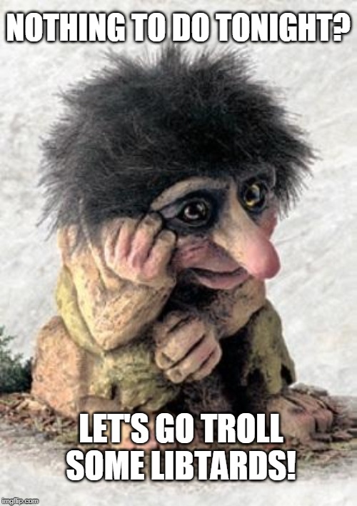 Trolling Liberals | NOTHING TO DO TONIGHT? LET'S GO TROLL SOME LIBTARDS! | image tagged in troll,trolling,stupid liberals,libtards,political meme,leftists | made w/ Imgflip meme maker