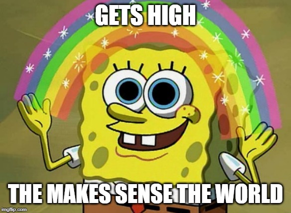 Imagination Spongebob Meme | GETS HIGH; THE MAKES SENSE THE WORLD | image tagged in memes,imagination spongebob | made w/ Imgflip meme maker