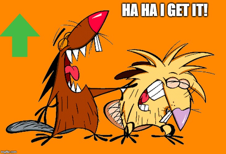 angry beavers | HA HA I GET IT! | image tagged in angry beavers | made w/ Imgflip meme maker