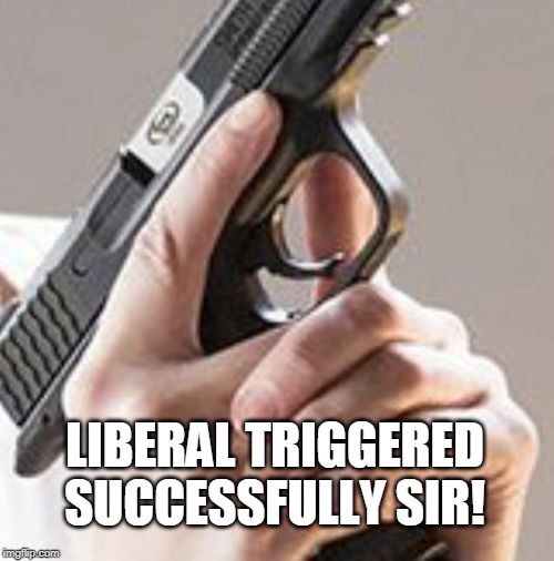 Liberal triggered successfully sir! | LIBERAL TRIGGERED SUCCESSFULLY SIR! | image tagged in triggered liberal,left wing,gun,liberal logic,liberal | made w/ Imgflip meme maker