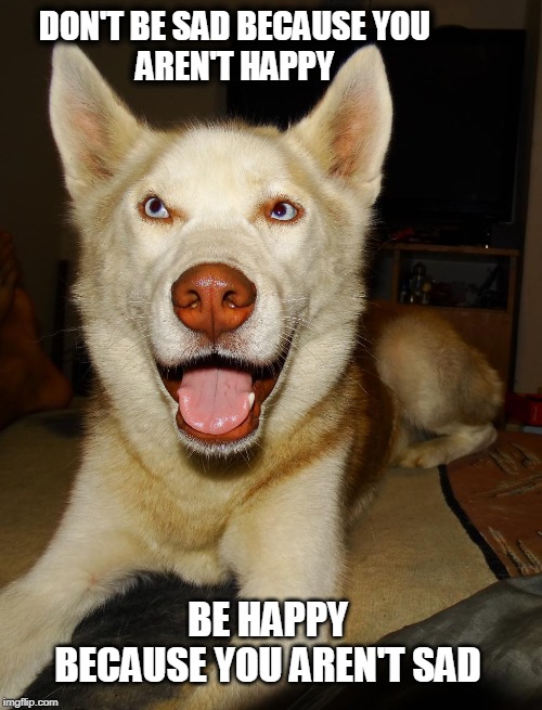 Diesel | DON'T BE SAD BECAUSE YOU                 AREN'T HAPPY; BE HAPPY BECAUSE YOU AREN'T SAD | image tagged in happiness | made w/ Imgflip meme maker