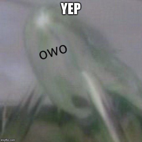 owo waterwraith | YEP | image tagged in owo waterwraith | made w/ Imgflip meme maker