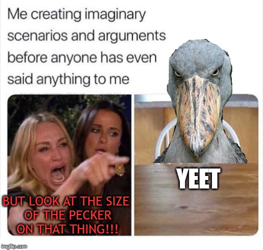 YEET; BUT LOOK AT THE SIZE
 OF THE PECKER
 ON THAT THING!!! | image tagged in shoebill | made w/ Imgflip meme maker