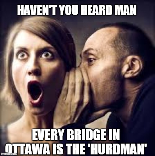 The Hurdman Bridge | HAVEN'T YOU HEARD MAN; EVERY BRIDGE IN OTTAWA IS THE 'HURDMAN' | image tagged in puns,bridge | made w/ Imgflip meme maker