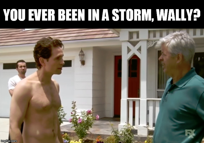 Wally Schmidt | YOU EVER BEEN IN A STORM, WALLY? | image tagged in wally schmidt | made w/ Imgflip meme maker