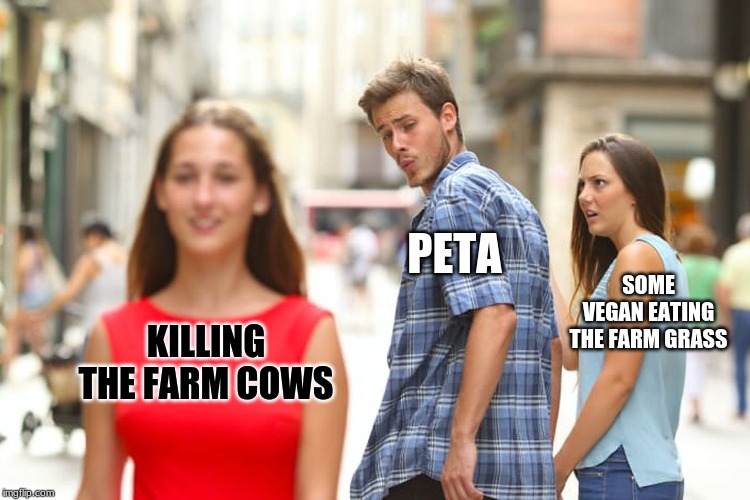 Distracted Boyfriend | PETA; SOME VEGAN EATING THE FARM GRASS; KILLING THE FARM COWS | image tagged in memes,distracted boyfriend | made w/ Imgflip meme maker