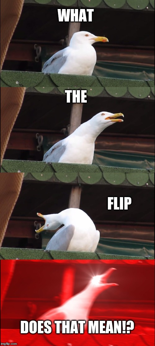 Inhaling Seagull Meme | WHAT THE FLIP DOES THAT MEAN!? | image tagged in memes,inhaling seagull | made w/ Imgflip meme maker