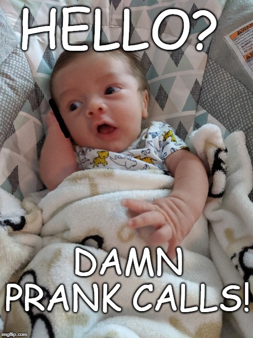 Sky's Prank Call | HELLO? DAMN PRANK CALLS! | image tagged in skyler,prank call,fake call | made w/ Imgflip meme maker