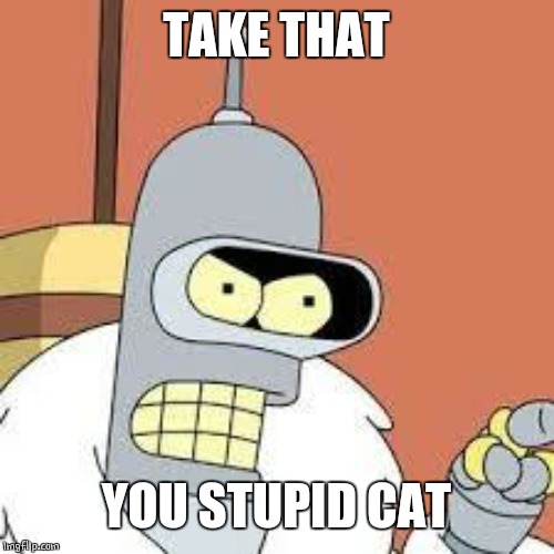 bender blackjack and hookers | TAKE THAT YOU STUPID CAT | image tagged in bender blackjack and hookers | made w/ Imgflip meme maker