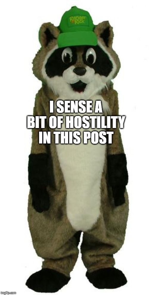 Hostile Raccoon  | I SENSE A BIT OF HOSTILITY IN THIS POST | image tagged in hostile raccoon | made w/ Imgflip meme maker