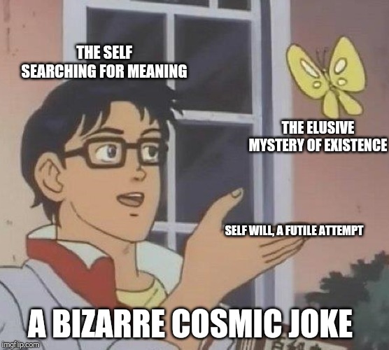 Is This A Pigeon Meme | THE SELF SEARCHING FOR MEANING; THE ELUSIVE MYSTERY OF EXISTENCE; SELF WILL, A FUTILE ATTEMPT; A BIZARRE COSMIC JOKE | image tagged in memes,is this a pigeon | made w/ Imgflip meme maker