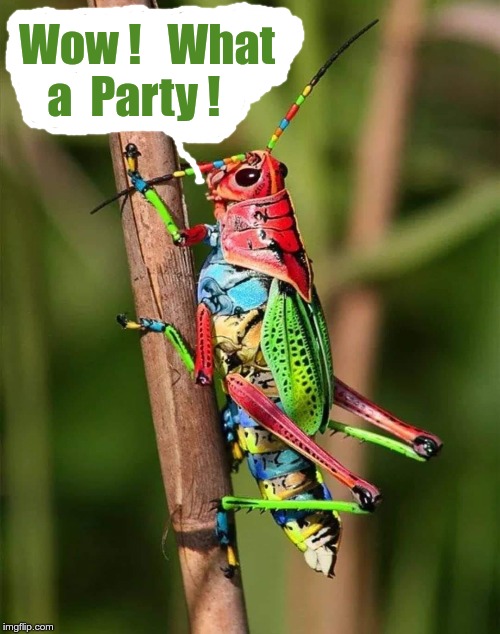 IF IT LOOKS A LITTLE TOO FAMILIAR ... | Wow !   What
a  Party ! | image tagged in memes,partying,rick75230,been there done that | made w/ Imgflip meme maker