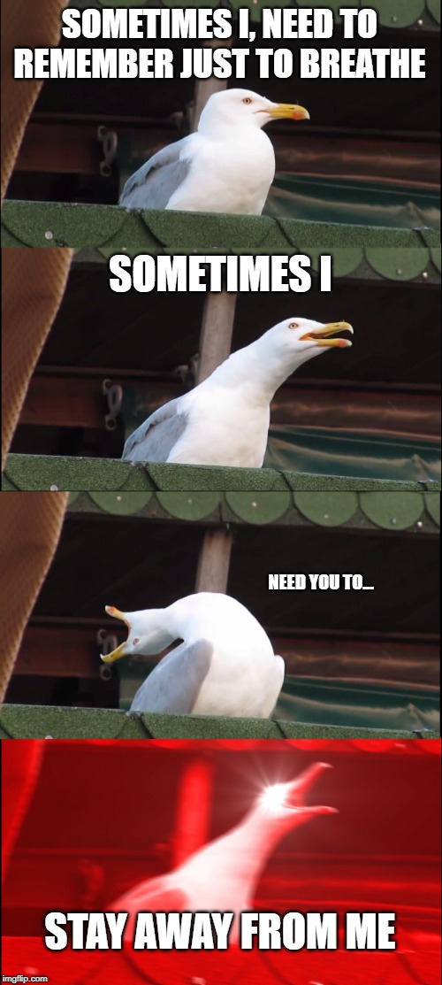 Linkin Park Seagull | SOMETIMES I, NEED TO REMEMBER JUST TO BREATHE; SOMETIMES I; NEED YOU TO... STAY AWAY FROM ME | image tagged in memes,inhaling seagull,linkin park,don't stay | made w/ Imgflip meme maker