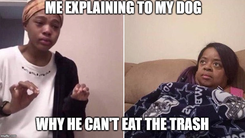 Me explaining to my mom | ME EXPLAINING TO MY DOG; WHY HE CAN'T EAT THE TRASH | image tagged in me explaining to my mom | made w/ Imgflip meme maker