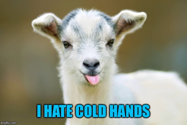 I HATE COLD HANDS | made w/ Imgflip meme maker