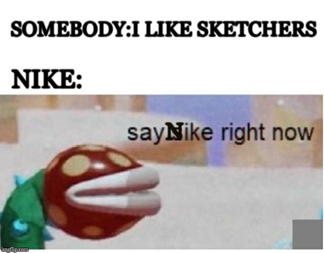 say sike right now | SOMEBODY:I LIKE SKETCHERS; NIKE:; N | image tagged in say sike right now | made w/ Imgflip meme maker