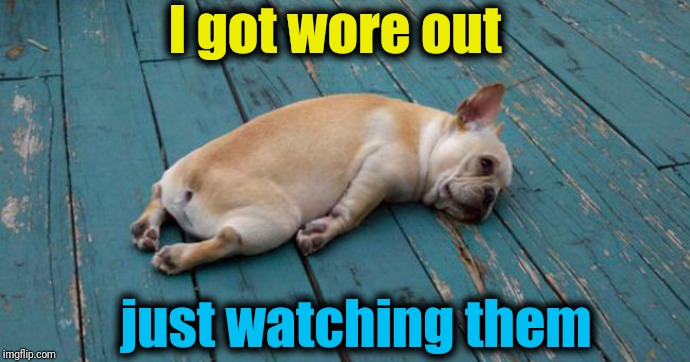 Exhausted  | I got wore out just watching them | image tagged in exhausted | made w/ Imgflip meme maker